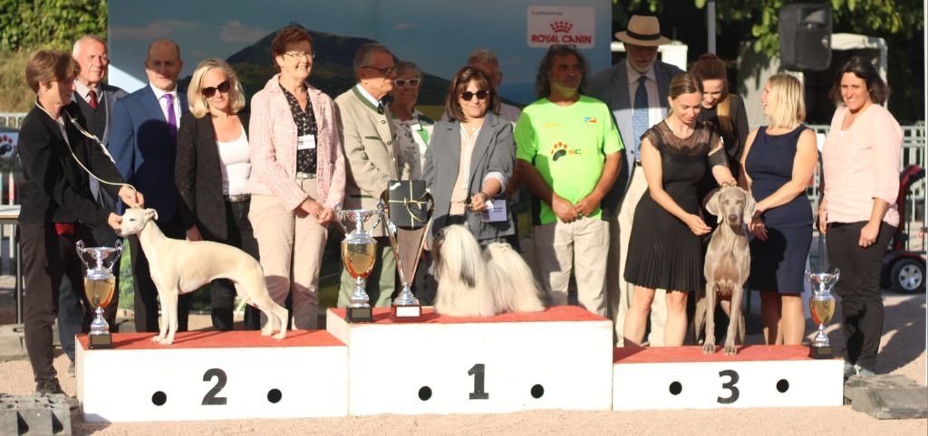 3/08/25 : Best in Show Chatelguyon