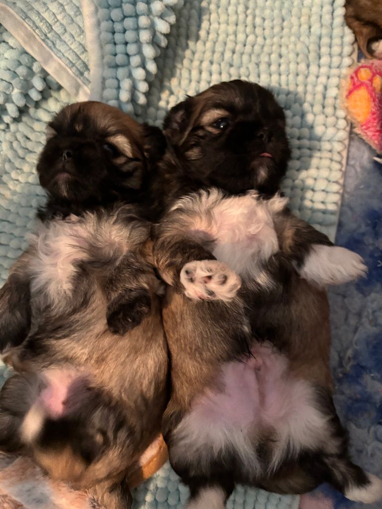 NAISSANCE DU 17 SEPTEMBRE 2025